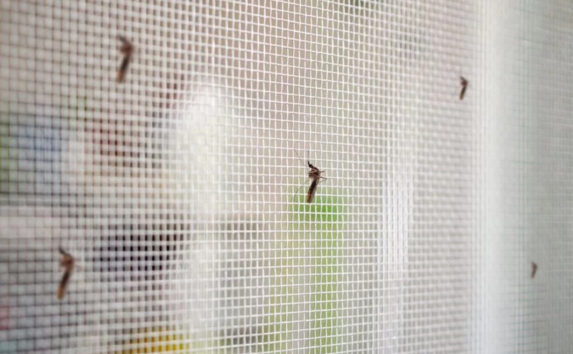 Target Multi-Insect Killer: An Effective Solution for Home Insect Control