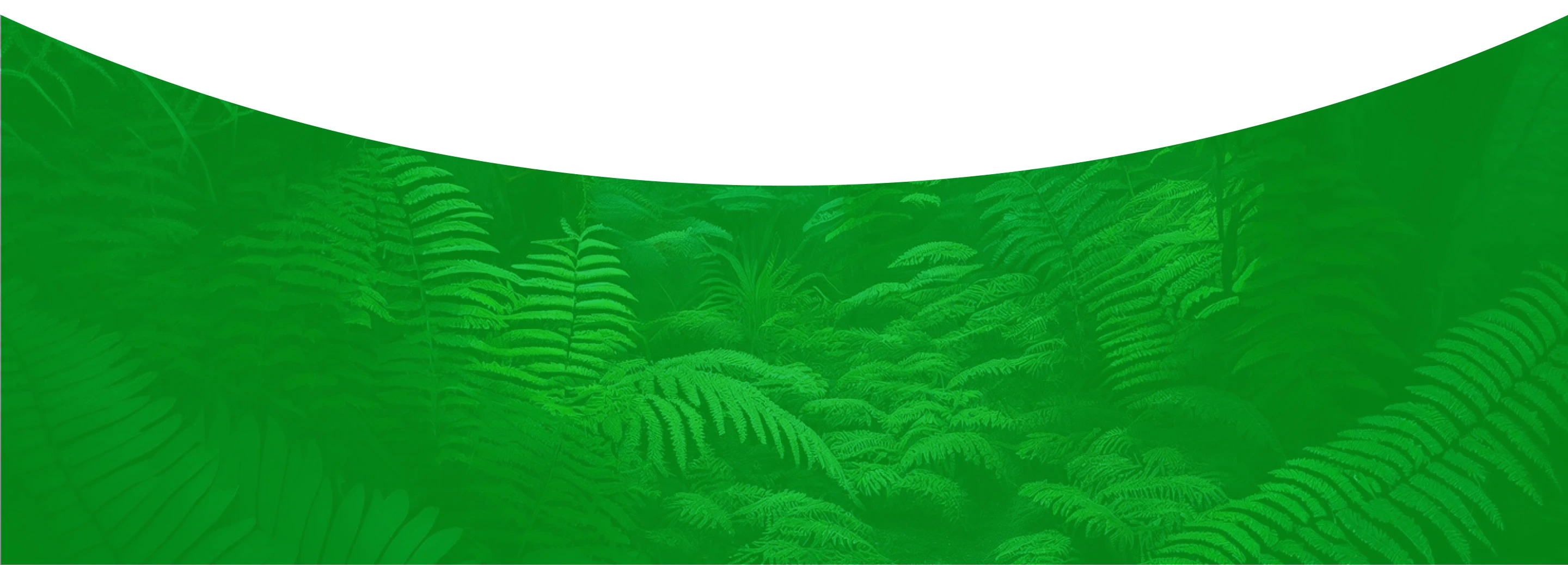 Personal Collection On Environment